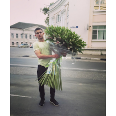 51 розовая лилия